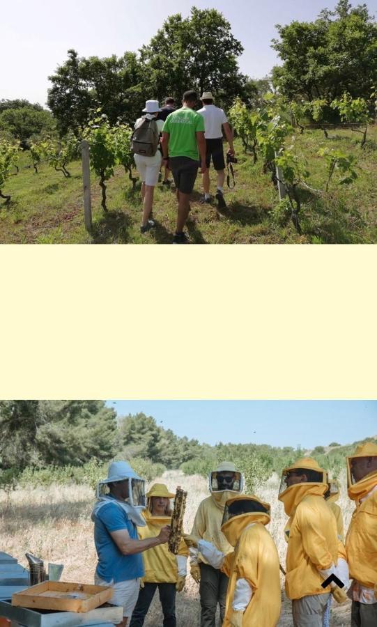 Villa Casa Vacanza Kruptai 2019 à Grottole Extérieur photo